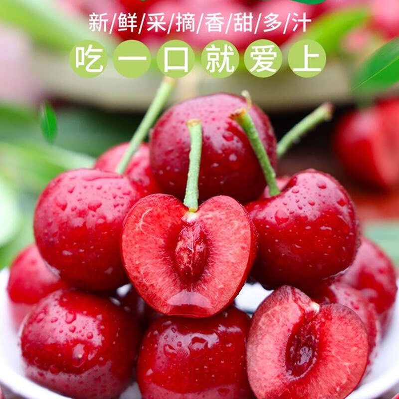 甘肃天水大樱桃现摘新鲜水果5斤装现货车厘子非山东孕妇送礼大果 500g