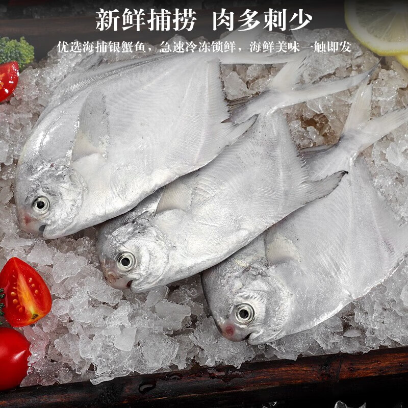 海鲜礼盒海鲜大礼包海产年货礼盒年货节送礼含帝王蟹10种海鲜礼盒 8种海鲜6斤家庭装 含活冻鲍鱼