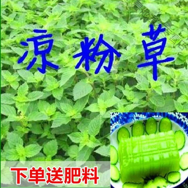 朵芮蜜品牌-花草林木类商品推荐及价格走势
