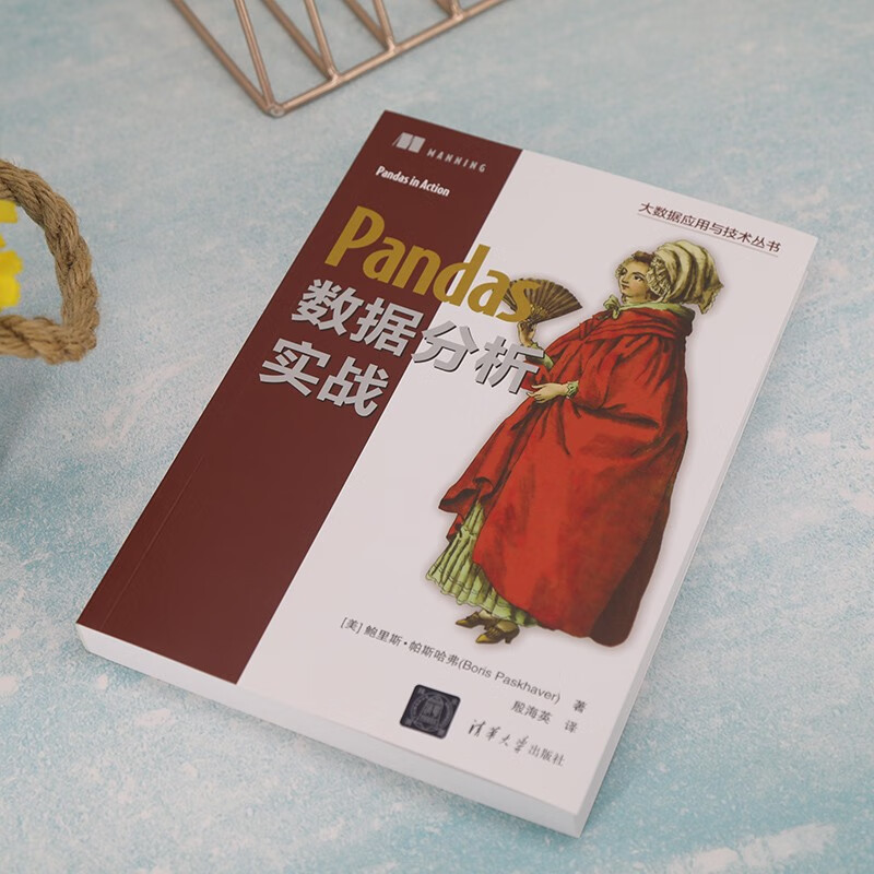 Pandas数据分析实战/大数据应用与技术丛书详情图