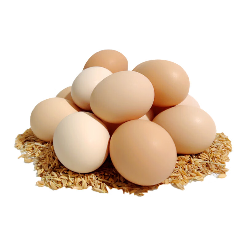 筱诺 农家散养新鲜土鸡蛋笨鸡蛋  现捡现发柴鸡蛋 40枚
