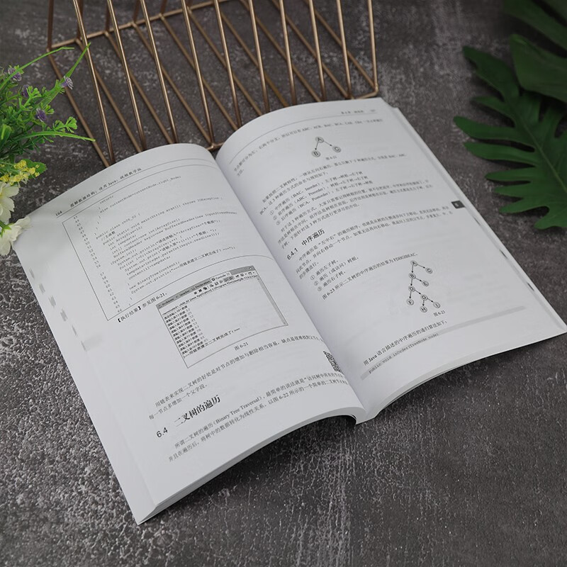 图解数据结构--使用Java（视频教学版）