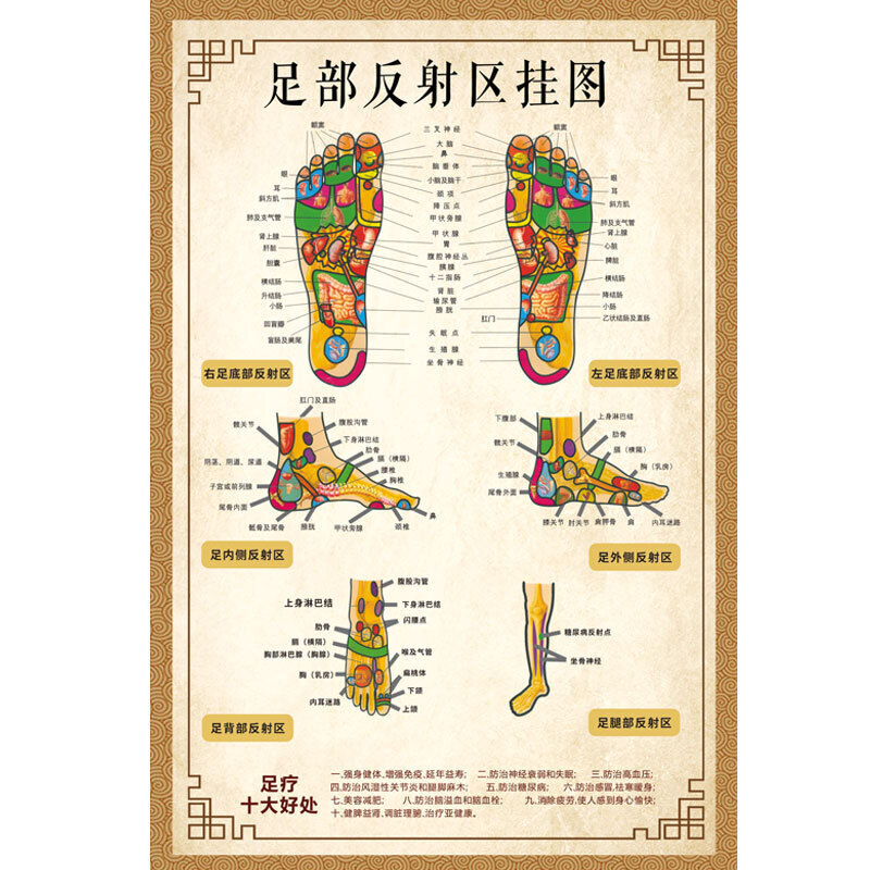 槿致家居 人体足底按摩穴位图足部反射区挂图片足疗脚底中医养生美容