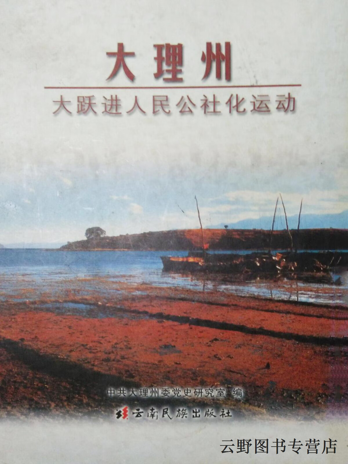 大理州"大跃进",人民公社化运动,大理州党史研究室编,云南民族出版社