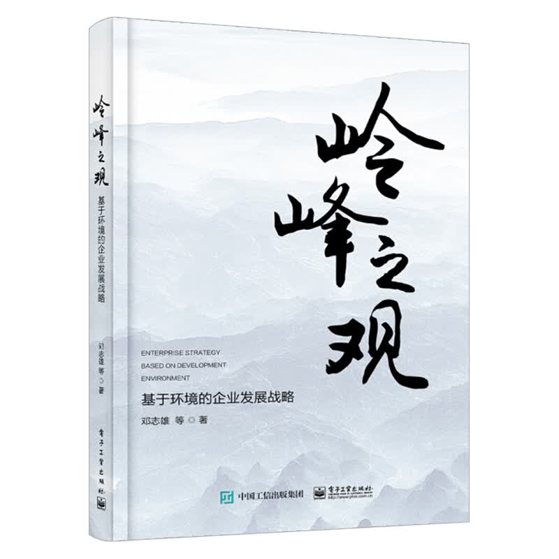 岭峰之观：基于环境的企业发展战略