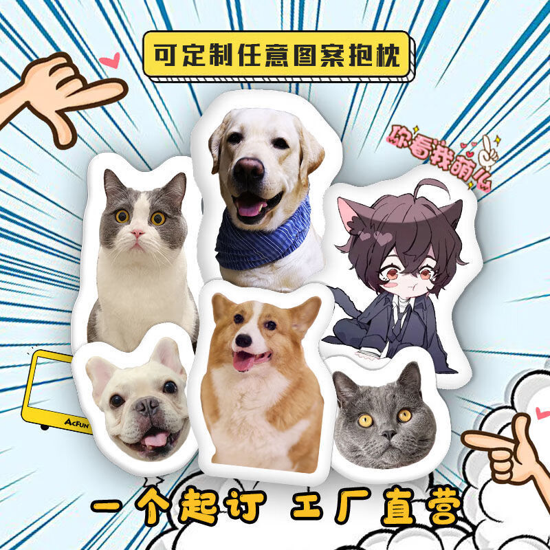 丑猫抱枕定制异形来图自制人形双面照片创意娃娃卡通公仔玩偶礼物 来