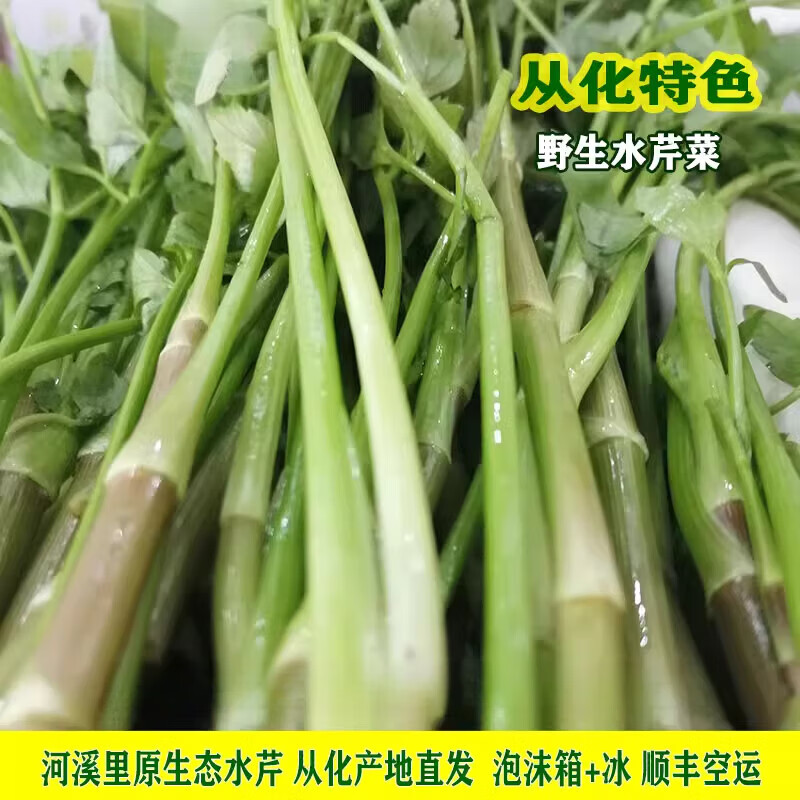 花芊茗顺丰空运】广东从化新鲜水芹菜河溪野生小叶芹凉拌清炒酒店食材