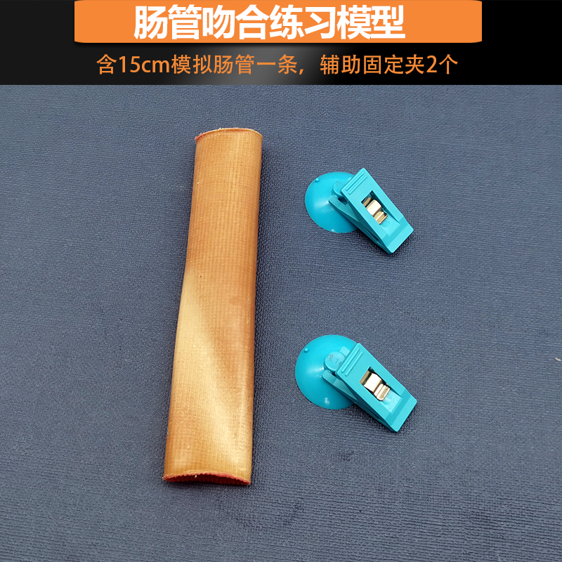 腹腔镜肠管肠肠端端吻合缝合练习手术模拟训练肠道模型教学模具 模拟