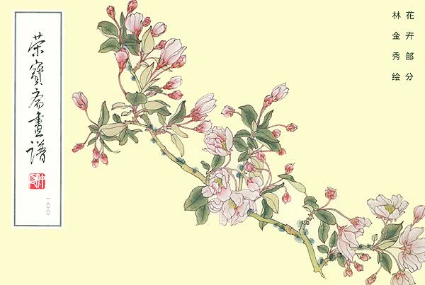 荣宝斋画谱花卉部分【正版图书】