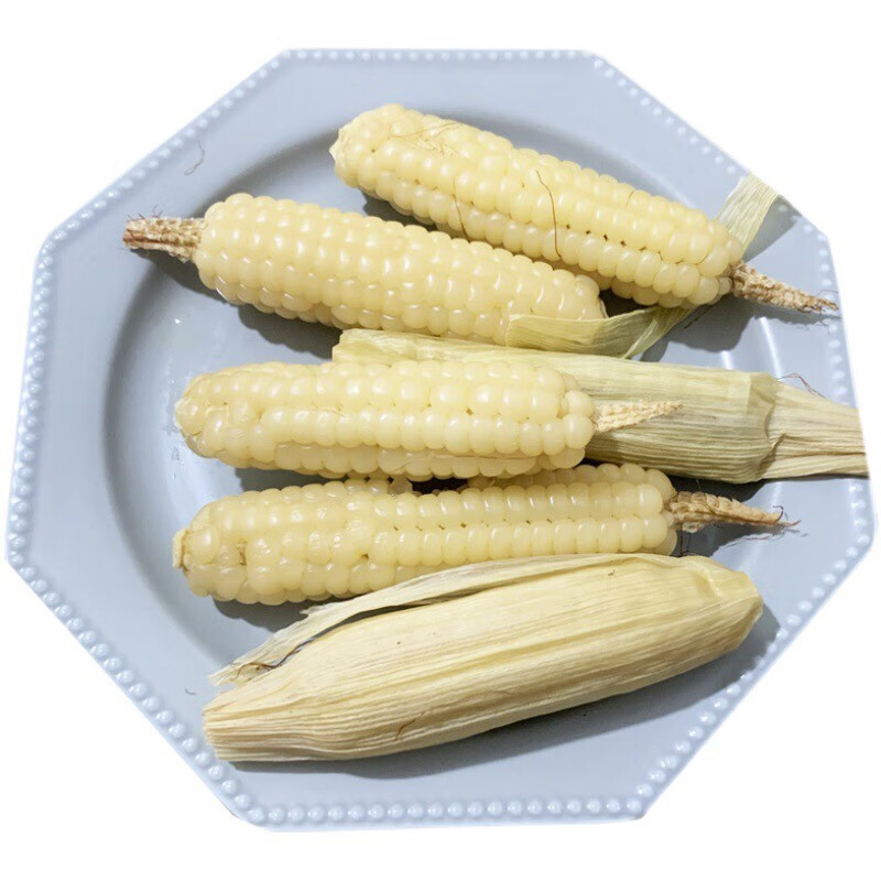 糯玉米 老品种玉米 真空熟玉米棒 500g约9-12根