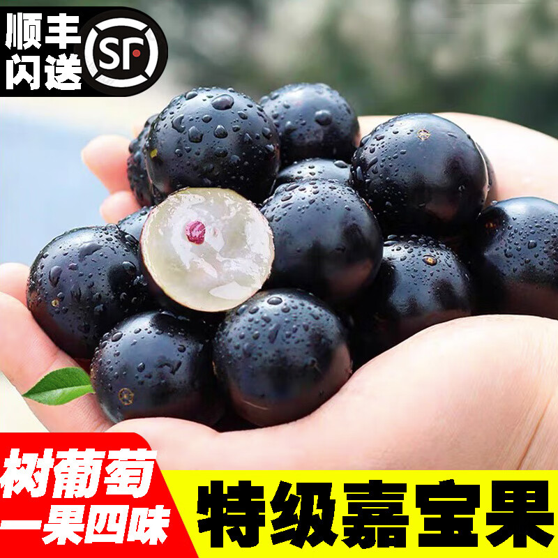 ǧ������α��������ѵ�Ӧ���ӱ��䱦������ˮ���ȴ�ϡ�����Ϸ���ˮ������ ��ѡ�д��ɢװ 2�� 94Ԫ