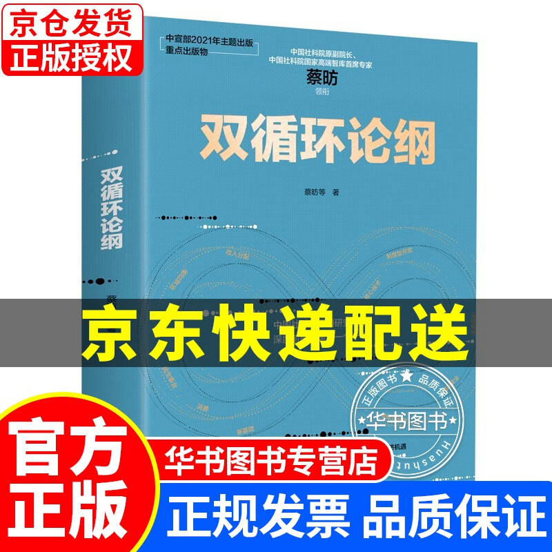 双循环论纲 中国经济