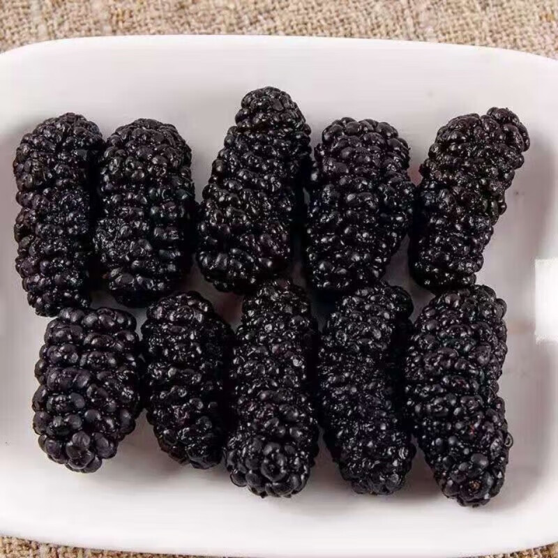 涉鲜者野生桑椹特级新鲜无沙桑甚桑椹子桑果水果黑桑葚 精选桑葚250g