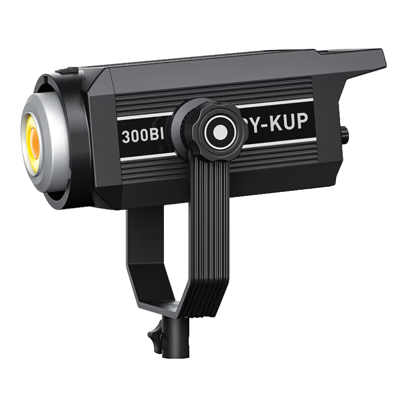 貝陽（beiyang）300w直播補(bǔ)光燈專業(yè)球形美顏照相打光燈主播打光專業(yè)LED柔光燈影棚拍照攝影燈視頻拍攝常亮燈