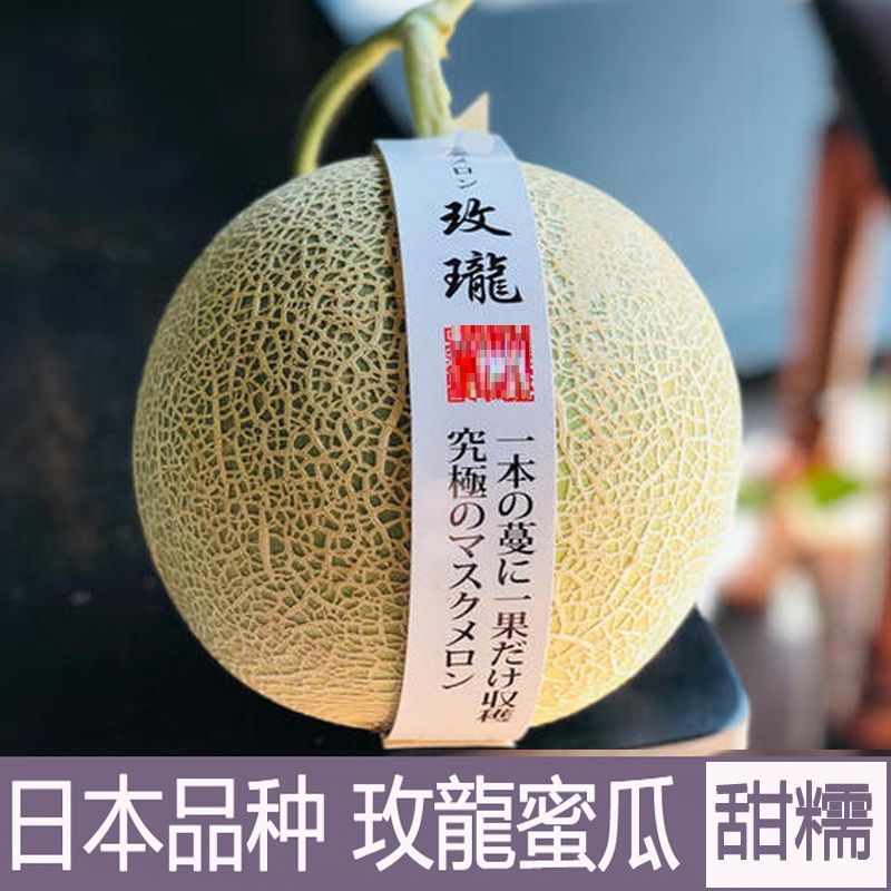 【精选果蔬】日本品种九哥玫珑蜜瓜口口蜜静冈夕张网纹瓜海南蜜瓜