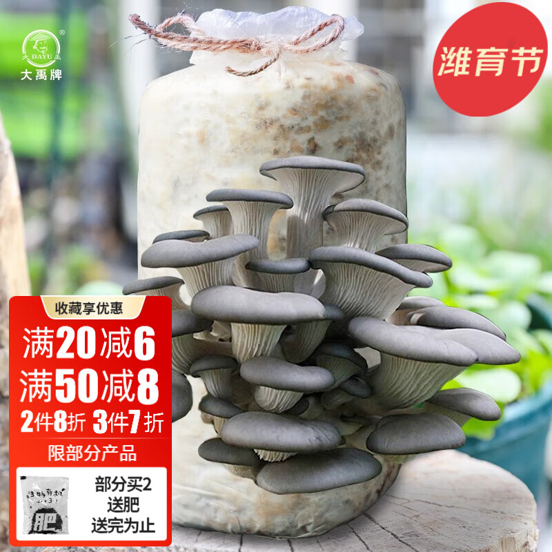 蔬菜类怎么才能买到最低价|蔬菜类价格走势