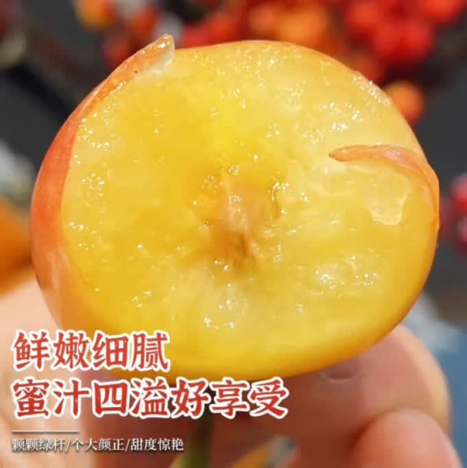 橙市码头美国进口雷尼尔黄金樱桃车厘子【空运次日达】高端水果送礼品物盒 2J超大果【精美礼盒】 2斤(净重)
