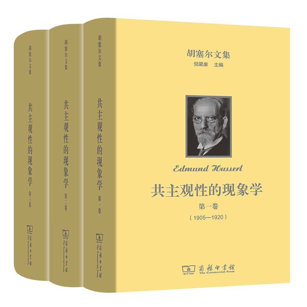 共主观性的现象学(全三卷)(胡塞尔文集)