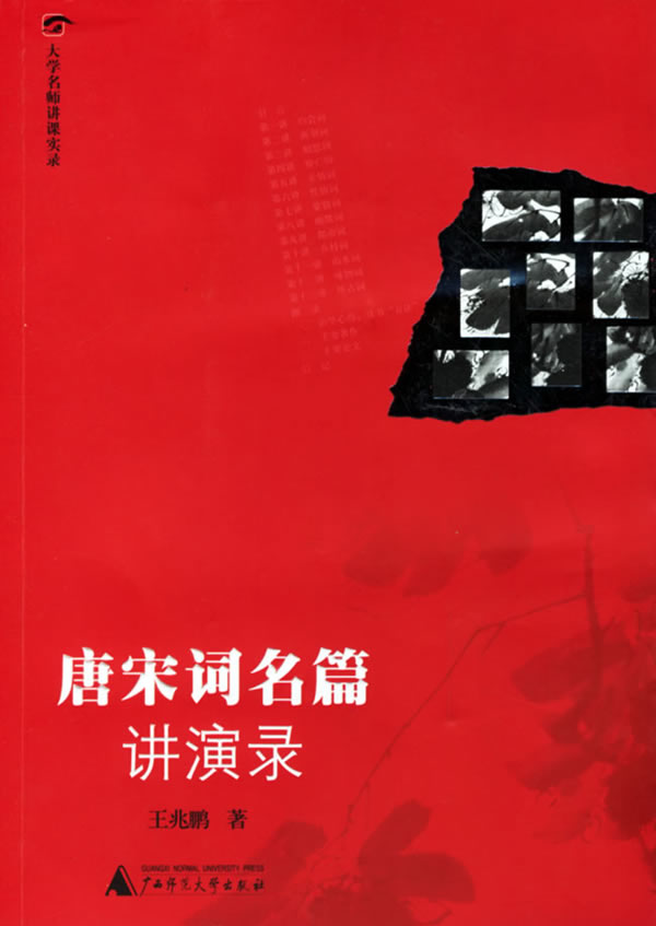 唐宋词名篇讲演录 王兆鹏 著【正版书】