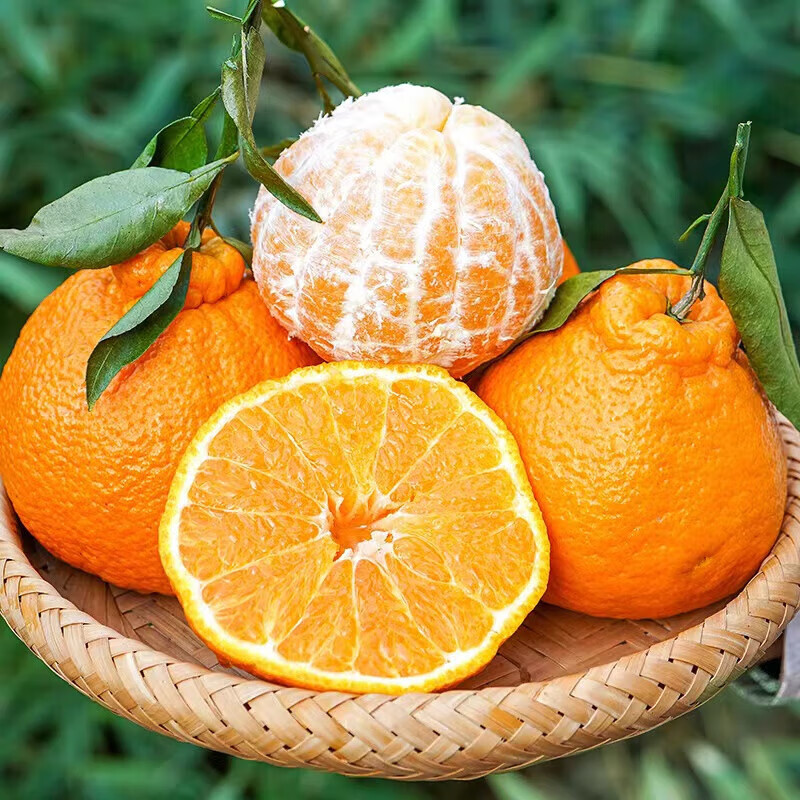 忆鲜春见耙耙柑【单果80-90mm】四川水果爆浆整箱水果 9斤