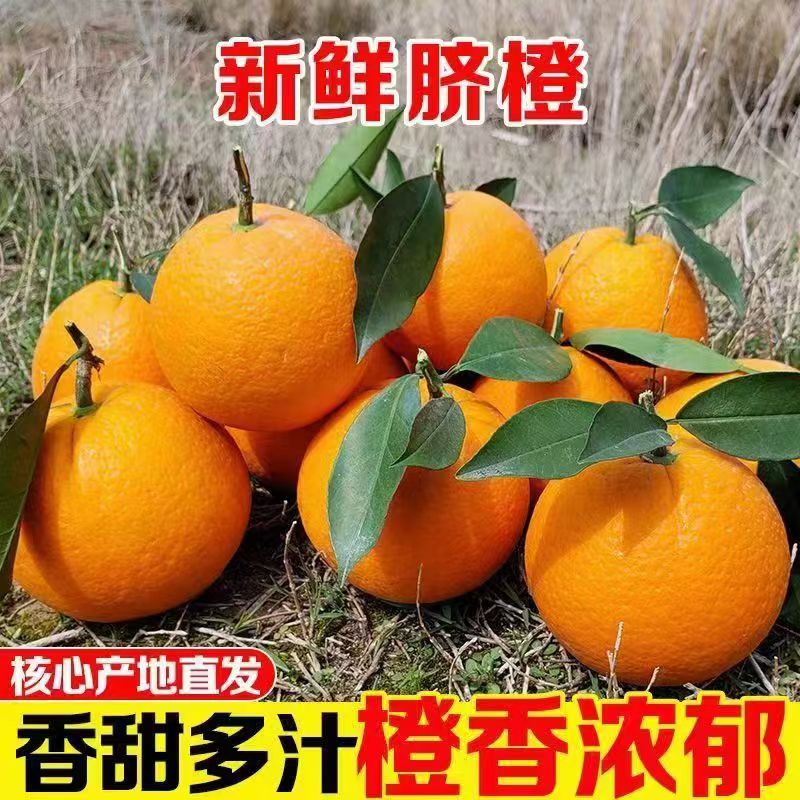 ������ũ�������������ȵ������ʳ���ե֭ˮ������Ƥ����֭�����Ź� ��ѡ�й�����8.5�135g������֭�� ��ѡװ 19.9Ԫ