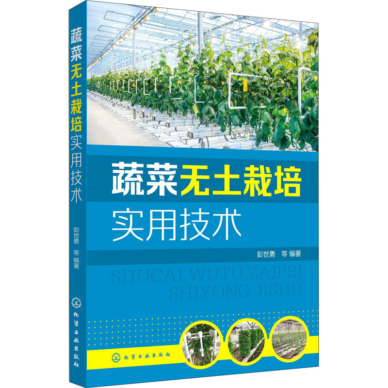 蔬菜无土栽培实用技术 图书