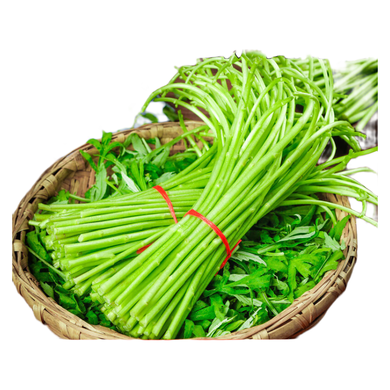 蘆蒿當(dāng)季新鮮帶葉去根去葉農(nóng)家自種茼蒿蔬菜藜蒿鮮嫩泥蒿蘺蒿 去跟去葉 5斤