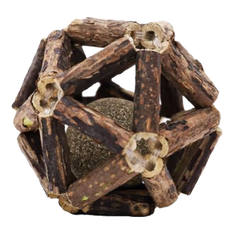 ���ڲ�������Ԫ��ߣ�hoopet��è������è�����ľ��ޤĥ����ݶ�è����ʳ��Сèè���˽�����Ʒ