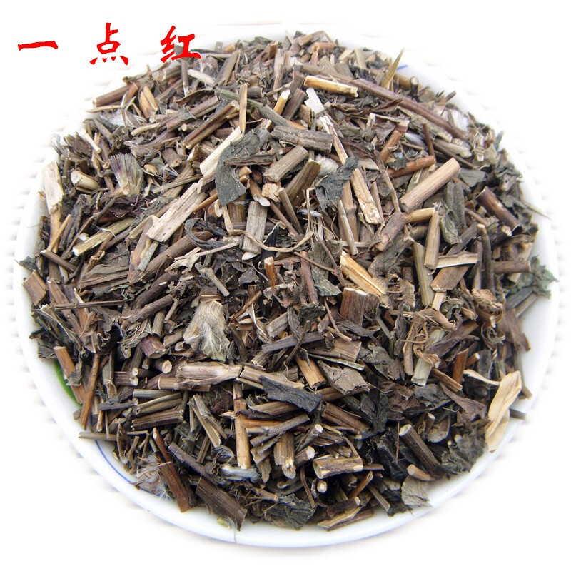 一点红 滋补养生新货 羊蹄草 红背叶 叶下红 马蹄草 50 克