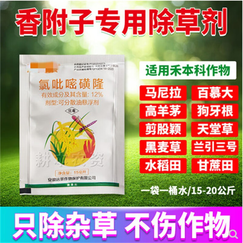 水稻田甘蔗田矮生百慕大马尼拉草坪除香附子莎杂草专用除草剂农药