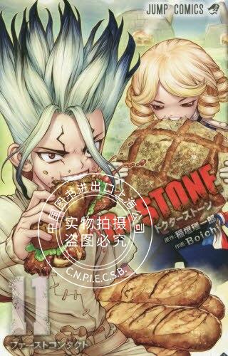 现货 进口日文 漫画 石纪元 Dr.STONE 11