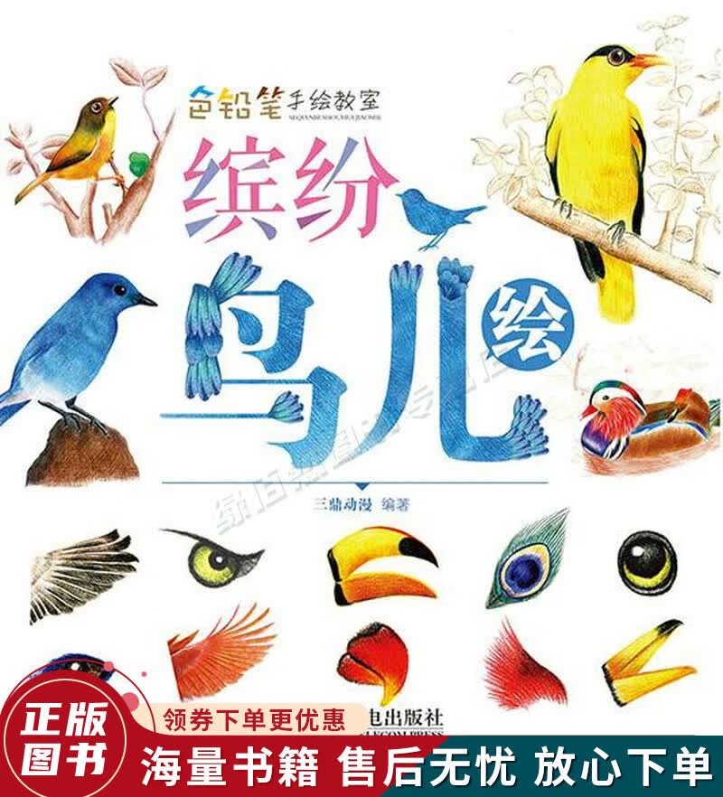 色铅笔手绘教室：缤纷鸟儿绘