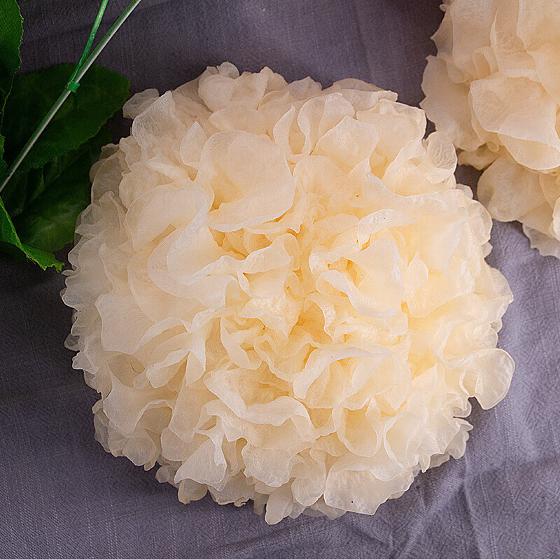 禾澹新鲜银耳鲜活雪耳金耳菌白木耳鲜银耳500g菌菇蘑菇 新鲜银耳 500g