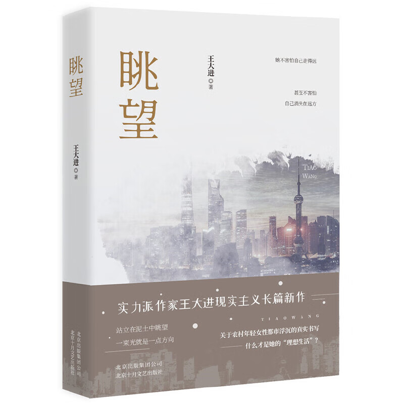 眺望王大进9787530218563文学/名家作品北京十月文艺