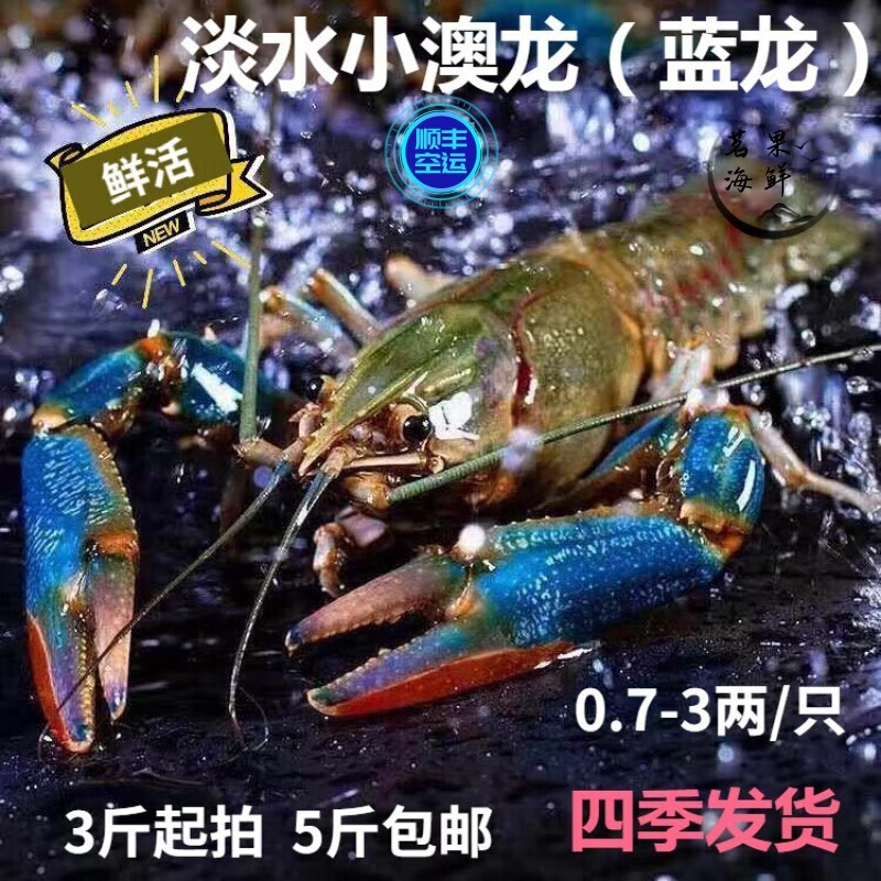 怎么看京东虾类商品历史价格|虾类价格比较