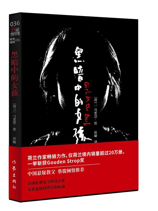 黑暗中的女孩小说长篇小说荷兰现代 图书