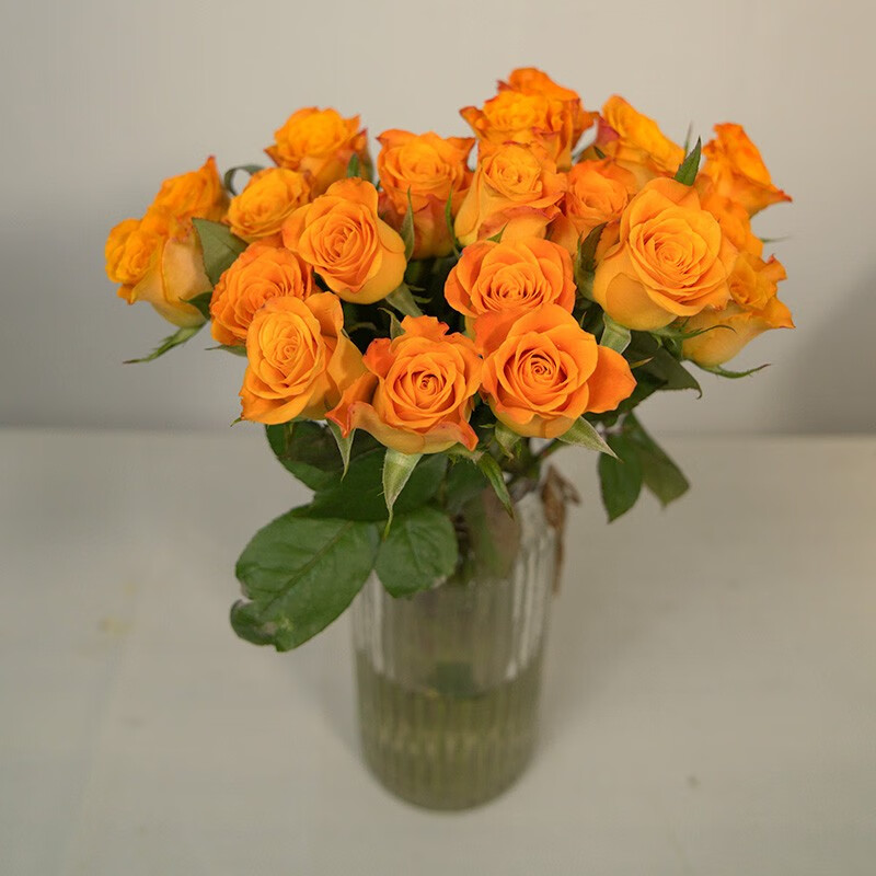 鲜花全国速递配送女友生日礼物家用水养插花 金辉玫瑰18支 2支(防损)