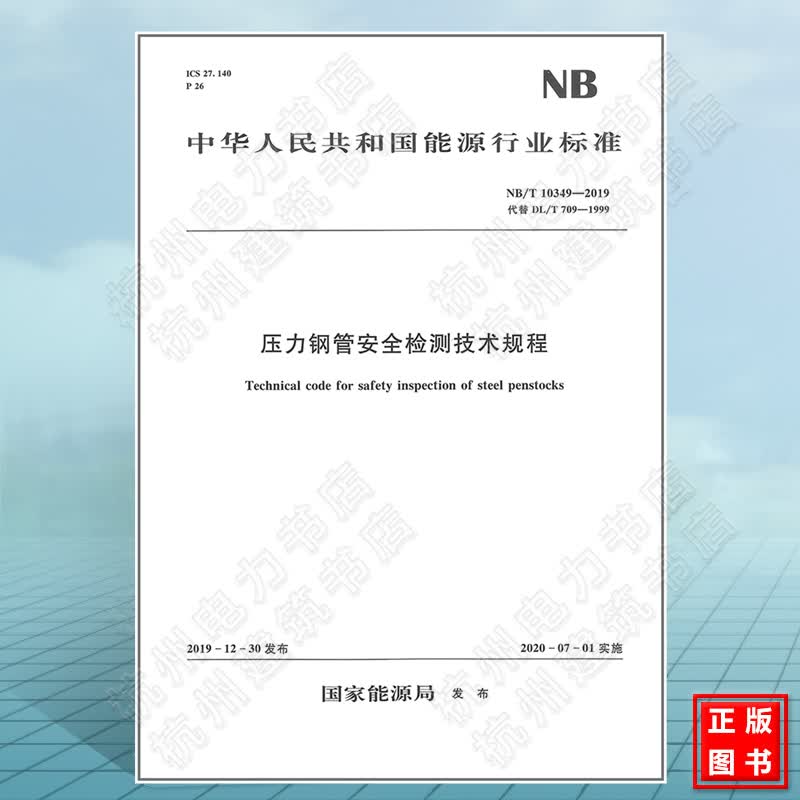 NB/T10349-2019压力钢管安全检测技术规程