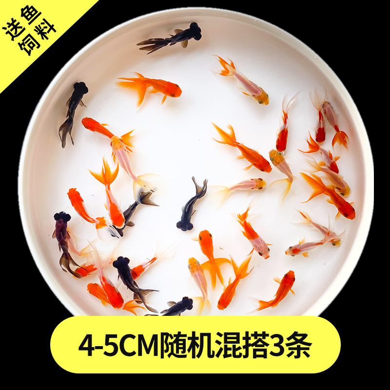 混锦 相关京东优惠商品 价格图片品牌优惠券 虎窝购