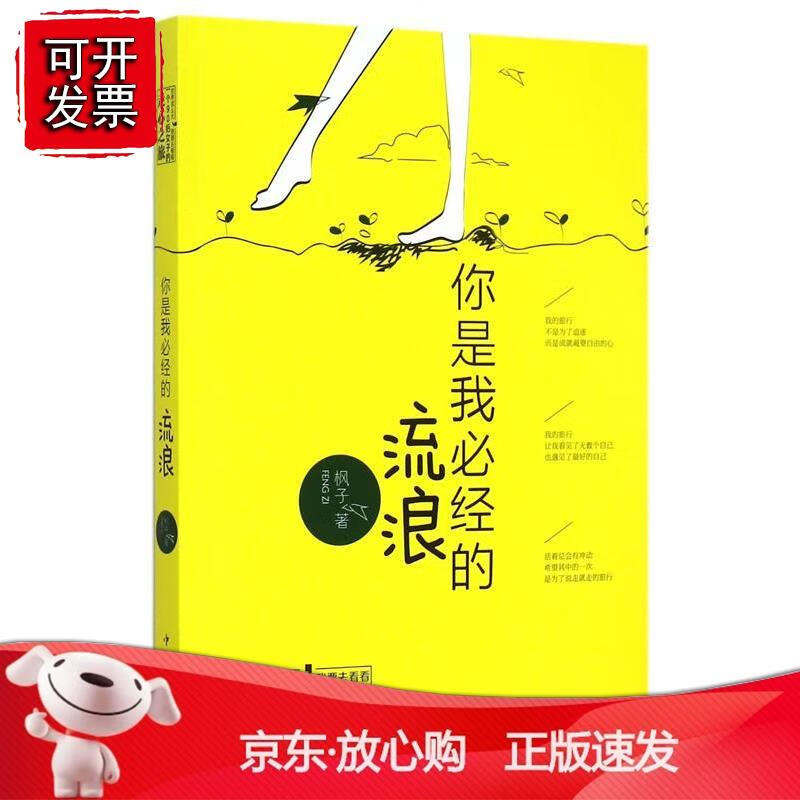 你是我经的流浪