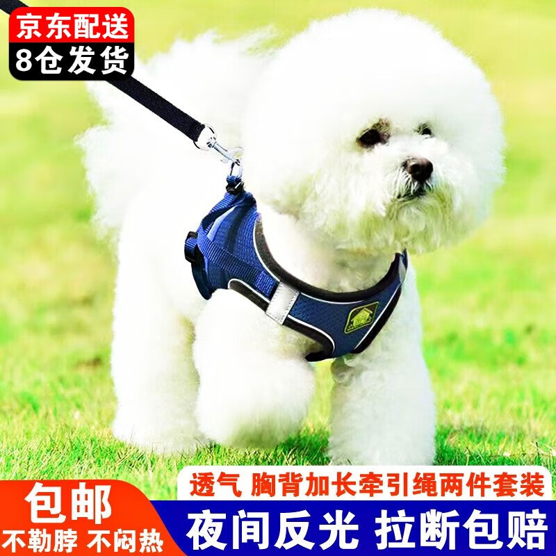 整体分析派乐特胸背带牵引绳狗狗牵引绳质量靠谱不，分享三周感受分享