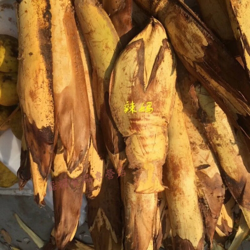 风鲜仓云南野生农产品 德宏新鲜棕包米 棕笋粽包 500g 一斤