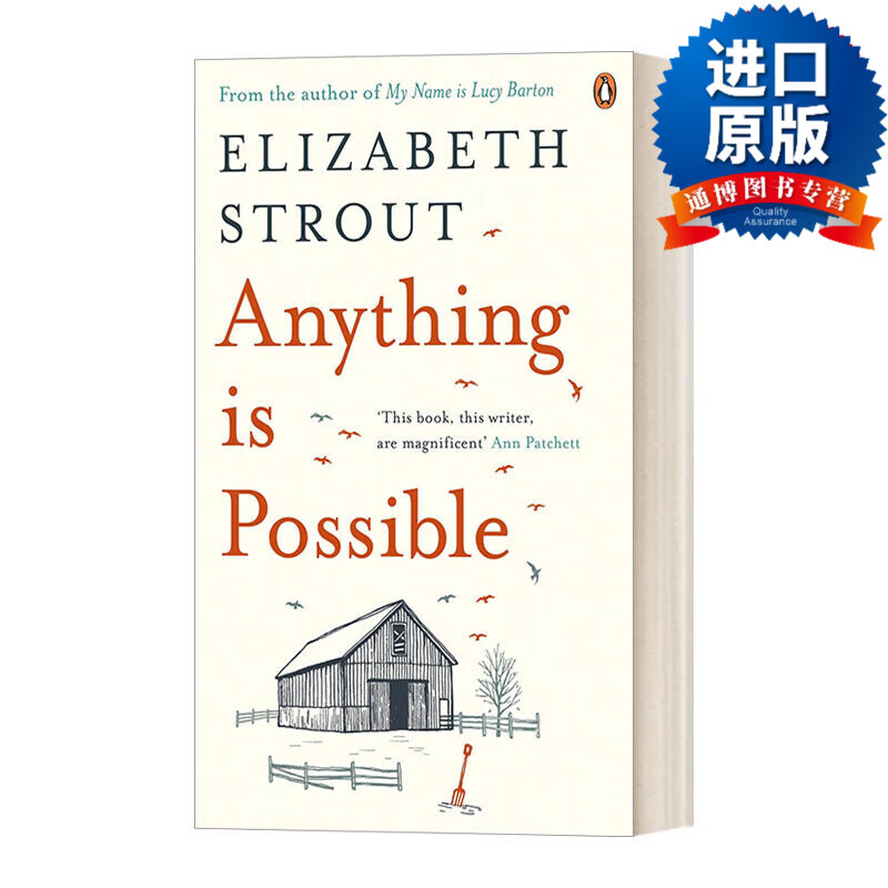 stories 一切皆有可能 我叫露西·巴顿 伊丽莎白·斯特劳特 英文原版
