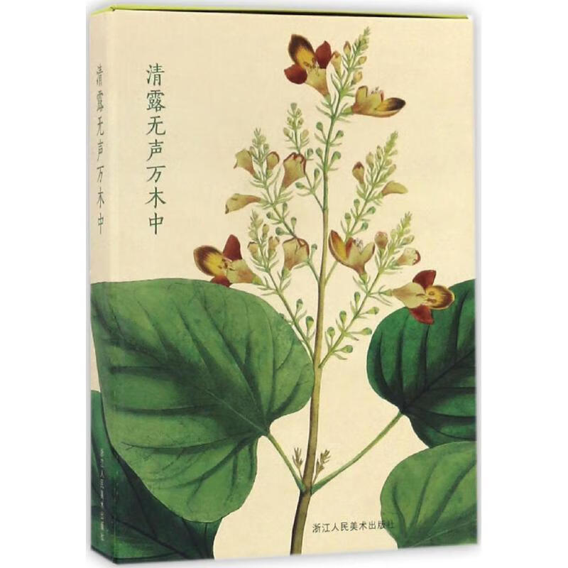 清露无声万木中【,放心购买】