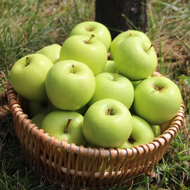 新鲜青苹果酸甜爽口小青果孕妇水果绿色新鲜水果运城 10斤特价小果