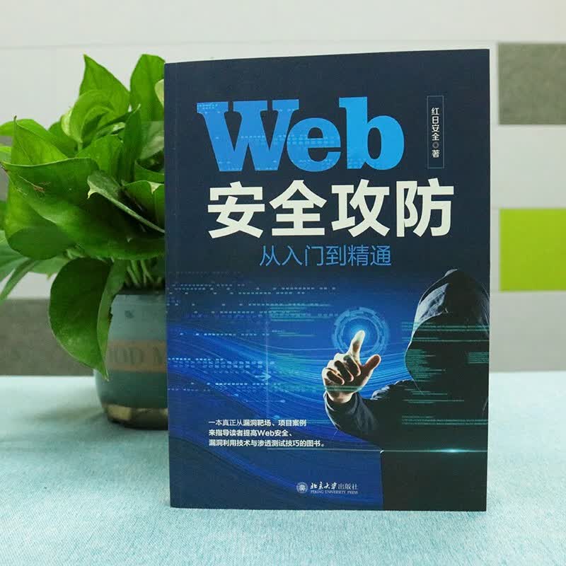 Web安全攻防从入门到精通 提高Web安全漏洞利用技术与渗透测试技巧详情图