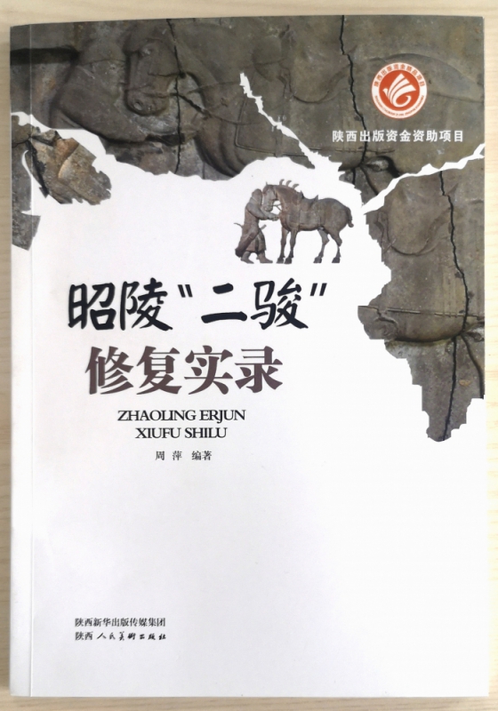 昭陵二骏修复实录