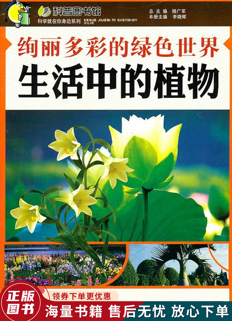 绚丽多彩的绿色世界:生活中的植物