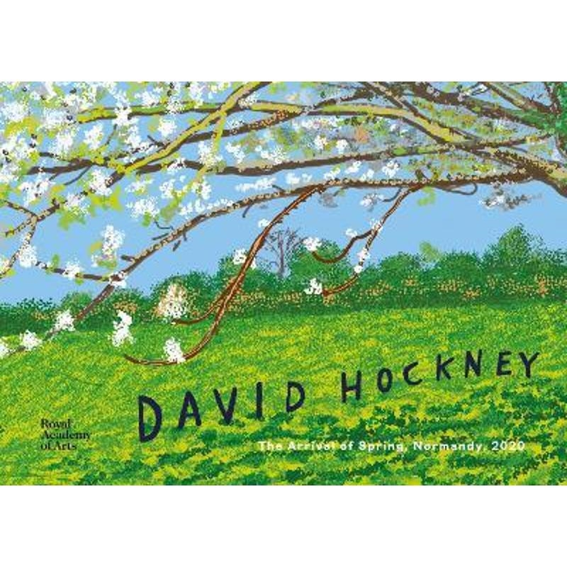 david hockney 上海外文