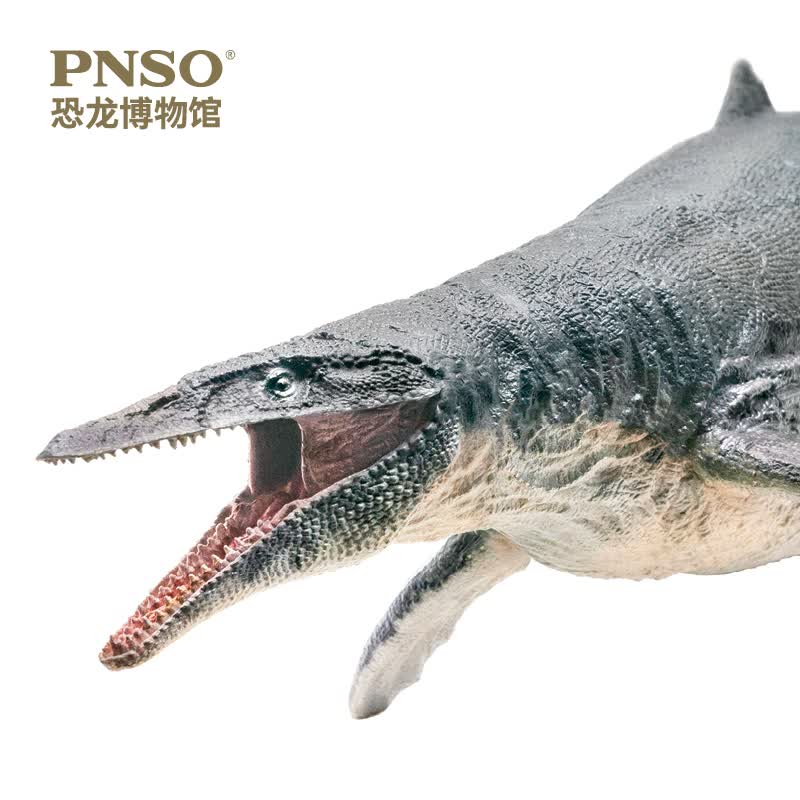 PNSO三角龙多利马门溪龙尔玛沧龙罗恩阿马加龙卢西奥恐龙博物馆1:35科学艺术模型 沧龙罗恩高性价比高么？